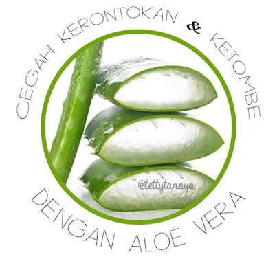 cara merawat rambut rusak