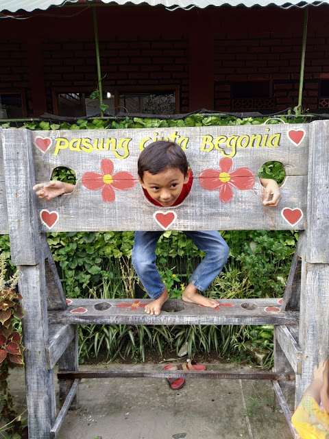 review kebun begonia lembang