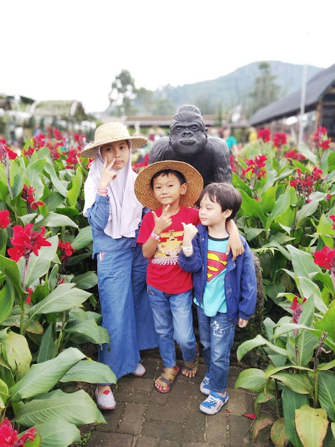 review kebun begonia lembang