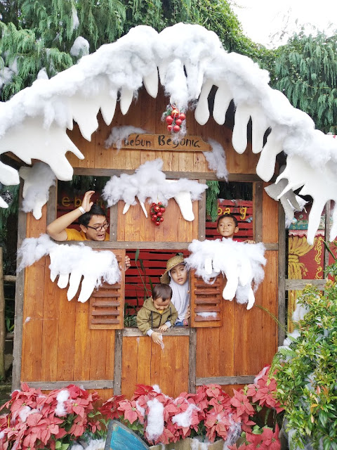 review kebun begonia lembang