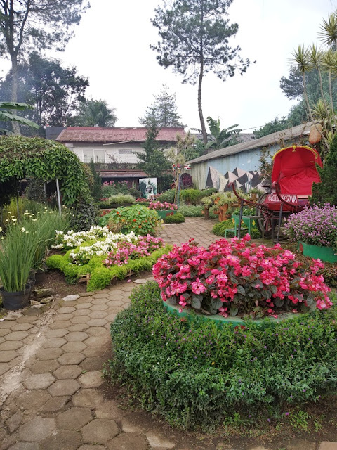 review kebun begonia lembang