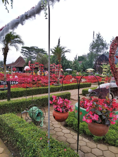 review kebun begonia lembang