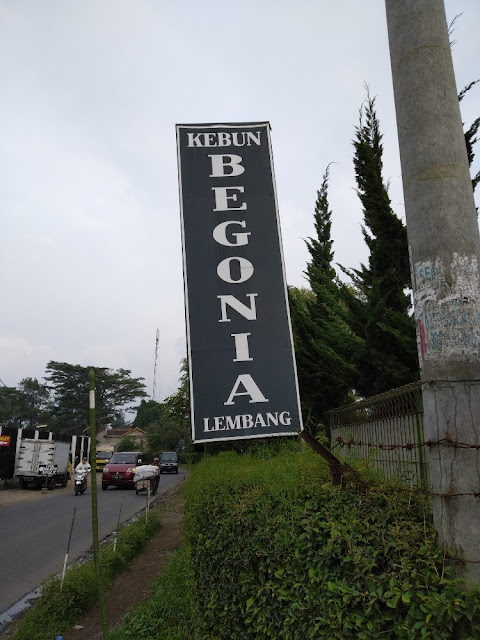review kebun begonia lembang