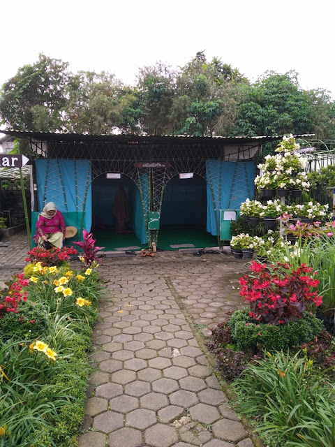 review kebun begonia lembang