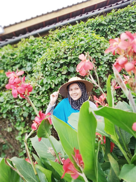 review kebun begonia lembang