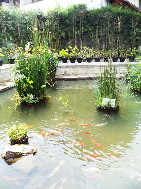 [Weekend Review] B'Tur Resto and Cafe a Friendly Place Buat Kumpul Bareng Teman dan Keluarga di Kawasan Puncak Bogor