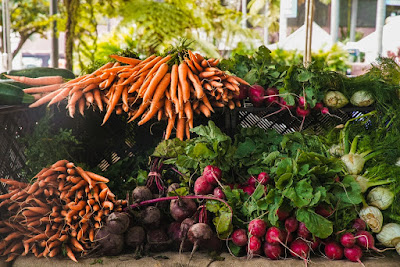 rekomendasi toko pot, tanaman, peralatan berkebun di citayam tajur halang kabupaten bogor