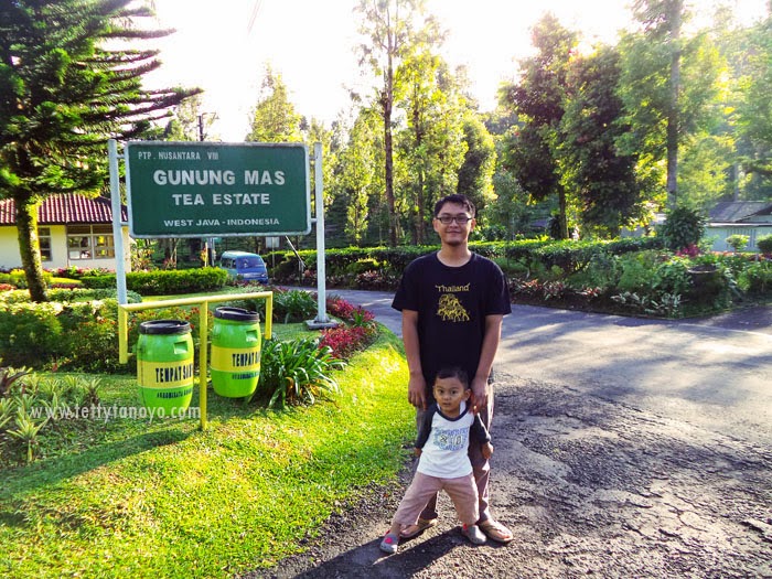 perkebunan teh agrowisata gunung mas bogor