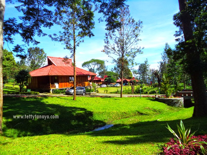 perkebunan teh agrowisata gunung mas bogor