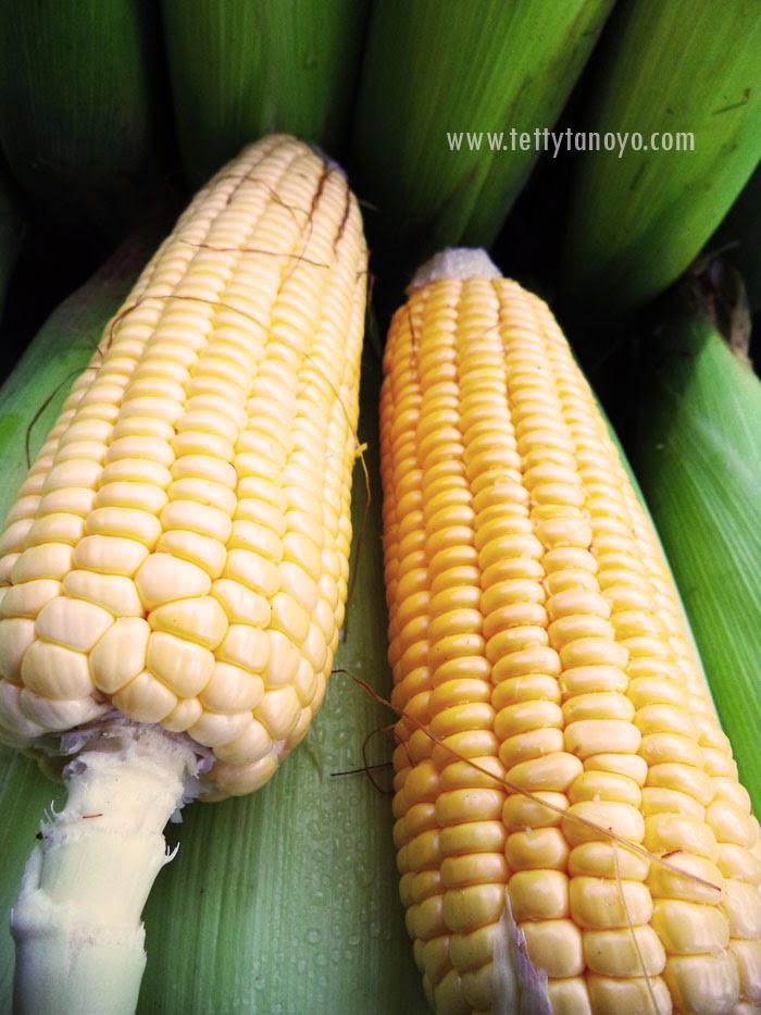 Perkebunan teh agrowisata gunung mas puncak bogor