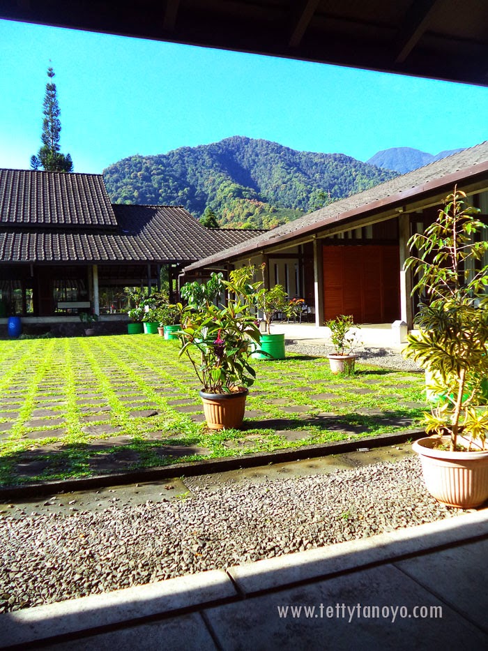 perkebunan teh agrowisata gunung mas bogor