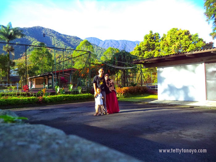 Perkebunan teh agrowisata gunung mas puncak bogor