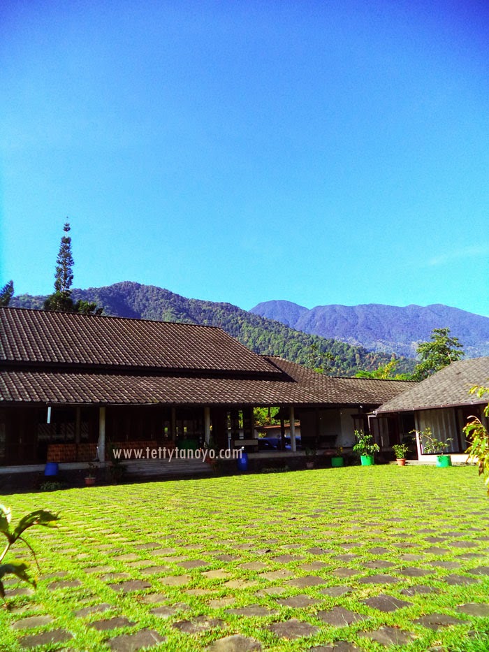 Perkebunan teh agrowisata gunung mas puncak bogor