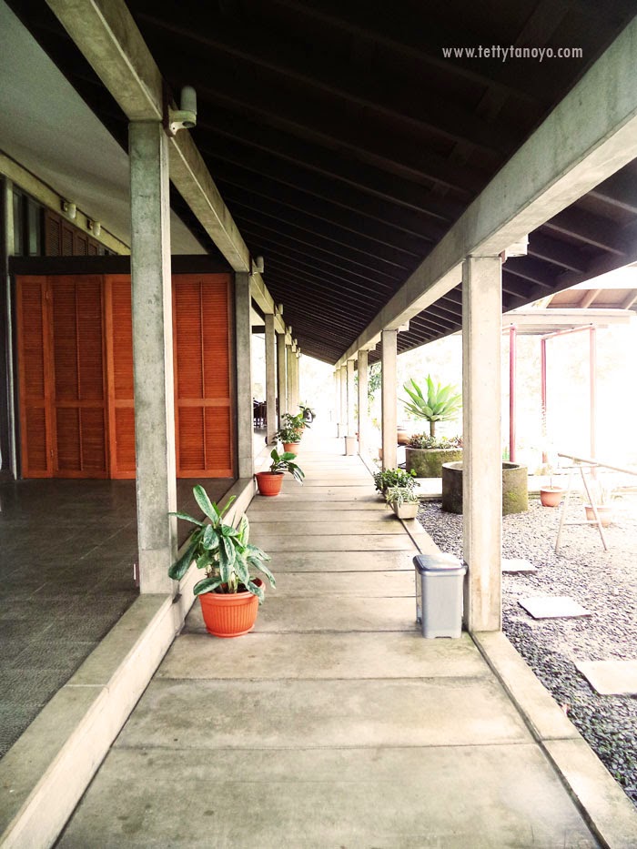 perkebunan teh agrowisata gunung mas bogor